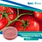 lycopene